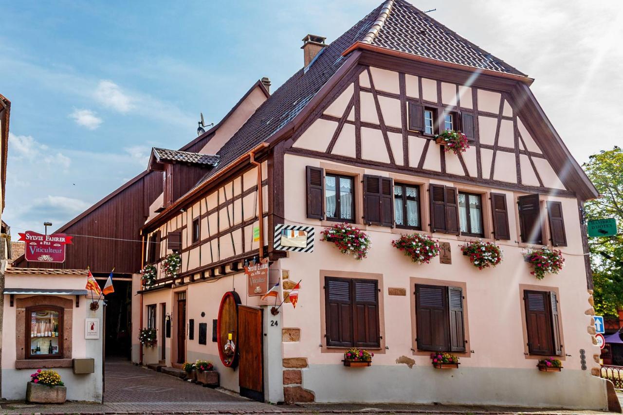 Bed and Breakfast Sylvie Fahrer Et Fils Saint-Hippolyte  Esterno foto