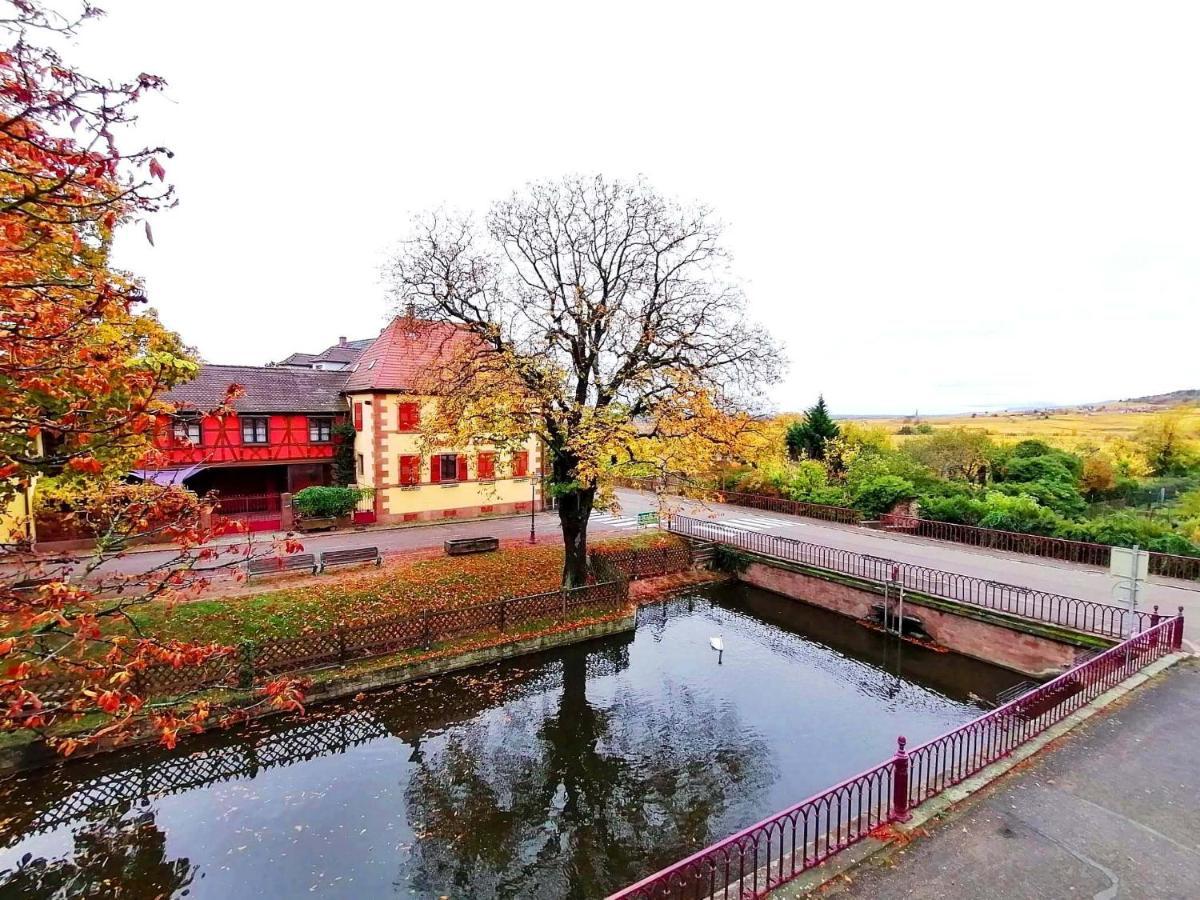 Bed and Breakfast Sylvie Fahrer Et Fils Saint-Hippolyte  Esterno foto